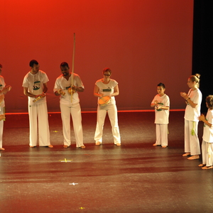 Capoeira - Toinho Sampaïo