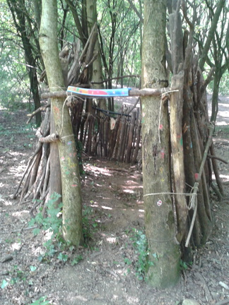 promenons nous dans les bois .... 072013 (1)