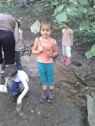 promenons nous dans les bois .... 072013 (6)