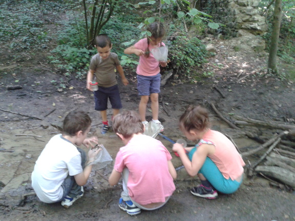 promenons nous dans les bois .... 072013 (7)