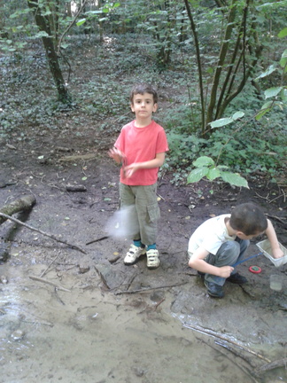 promenons nous dans les bois .... 072013 (9)