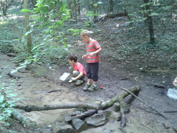 promenons nous dans les bois .... 072013 (10)