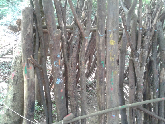 promenons nous dans les bois .... 072013 (12)