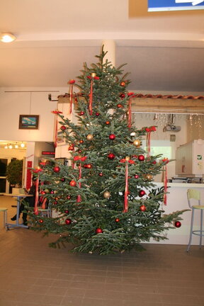 49-IMG 4492
